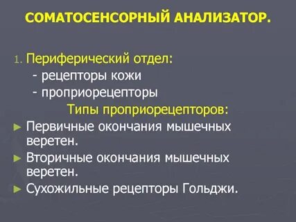 Функции периферического отдела