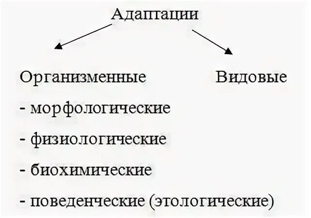 Организменные адаптации