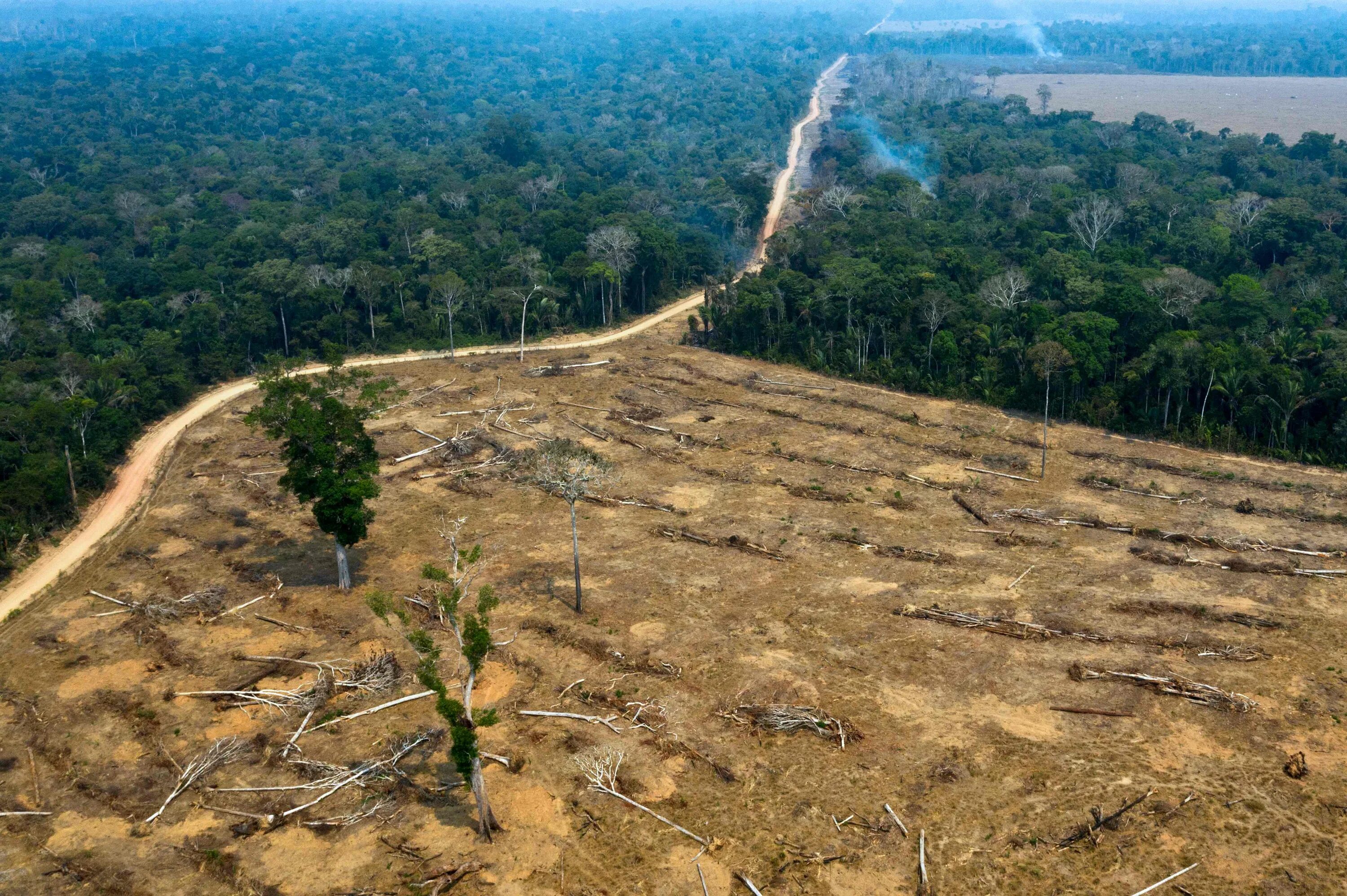 Обезлесение Бразилии. Вырубленные тропические леса Латинской Америки. Обезлесение леса Амазонии,. Вырубка тропических лесов в Бразилии.