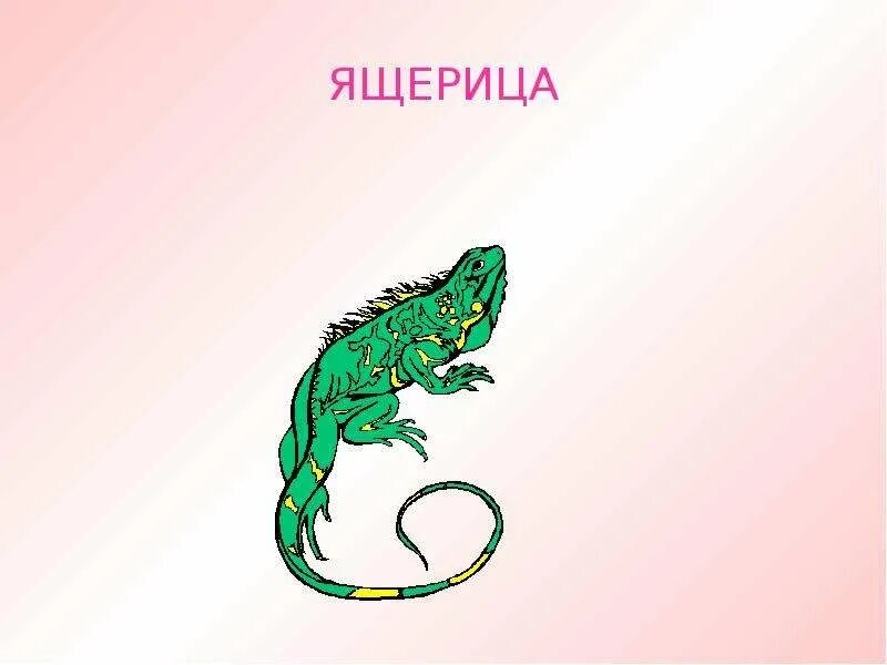Ящерица основа слова. Слово ящерица. слово ящерка. ящерица словарное слово. схема слова ящерица.