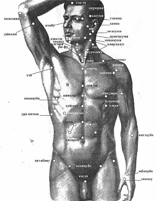 Больные места у человека. Анатомия болевых точек. Точки на теле человека. Важные точки на теле человека. Самые важные точки на теле.