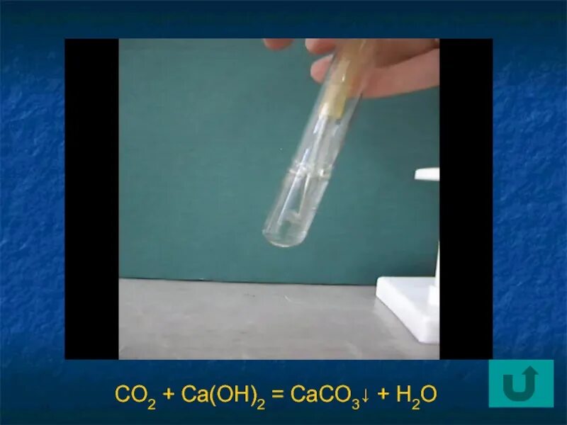 Ca oh 2 ca2 oh. Co Oh 2 цвет осадка. CA Oh 2 осадок. Co2 в пробирке. CA Oh цвет осадка.