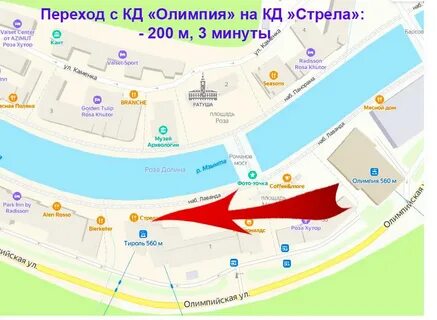 Парковка розы