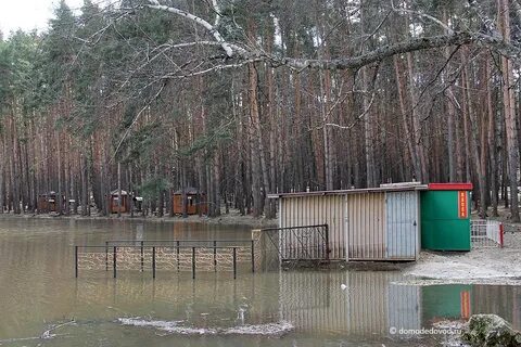 Парк елочки в домодедово аренда