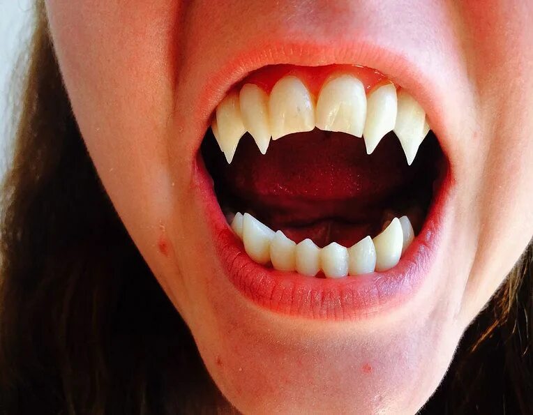 Pointed teeth. Pointed teeth