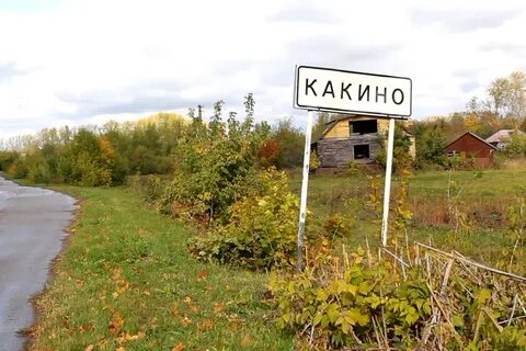 Погода в какино