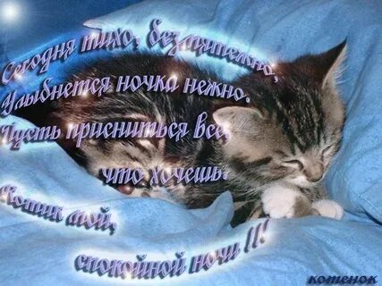 Спи сладко хороших снов