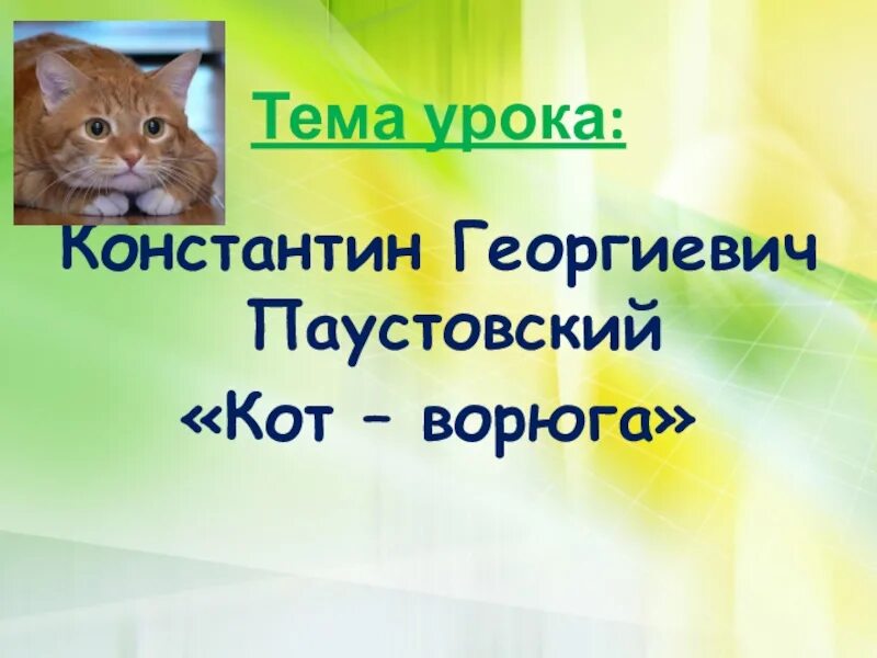 Презентация кот ворюга паустовский 3 класс. Паустовский к. "кот-ворюга". Паустовский кот ворюга презентация. Кот-ворюга план рассказа.