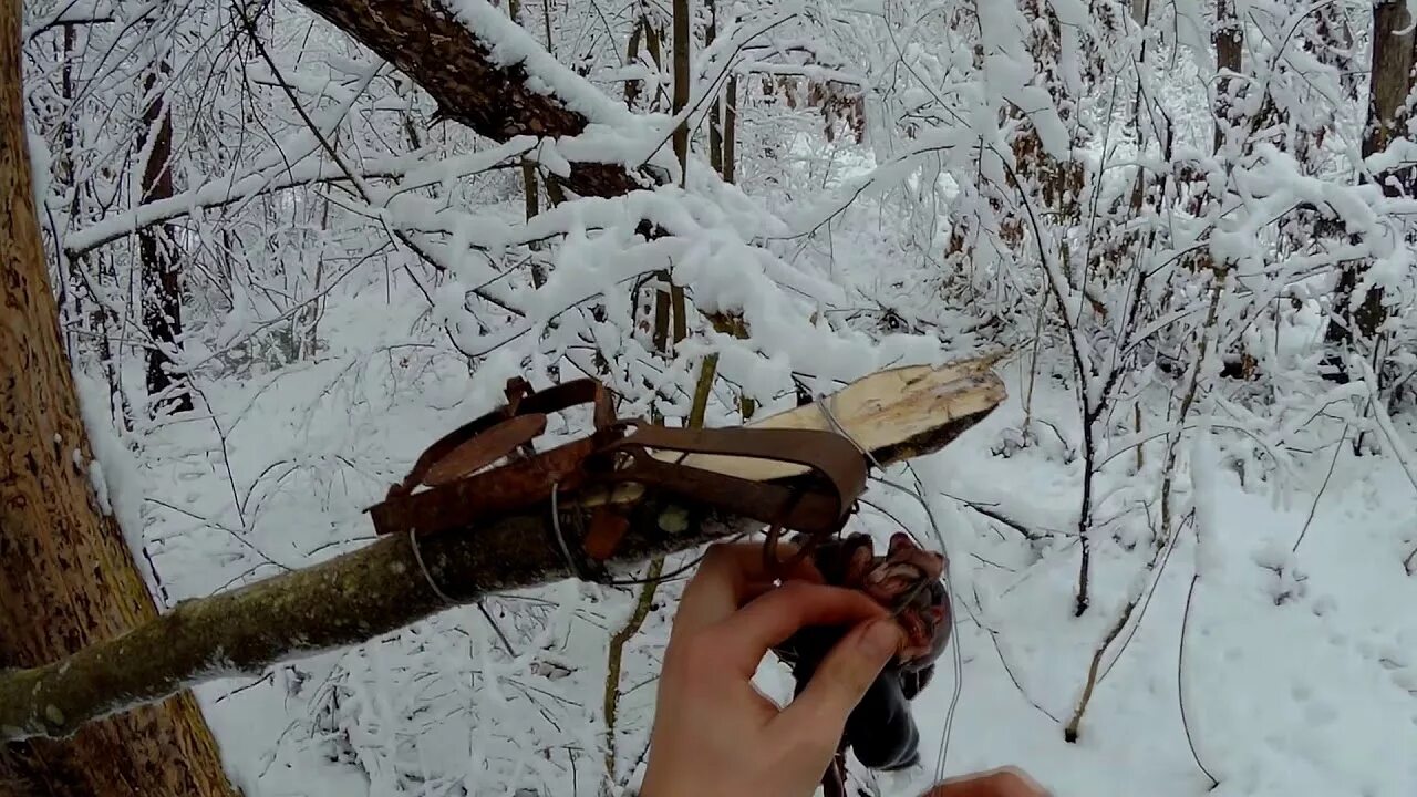 Ловля куниц. Опадные ловушки на соболя. Капканный промысел Пушного зверя.