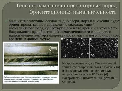 Магнитные частицы
