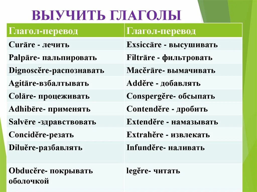 Глаголы. Глаголы в латинском языке. Глаголы латынь. Выучить глаголы.