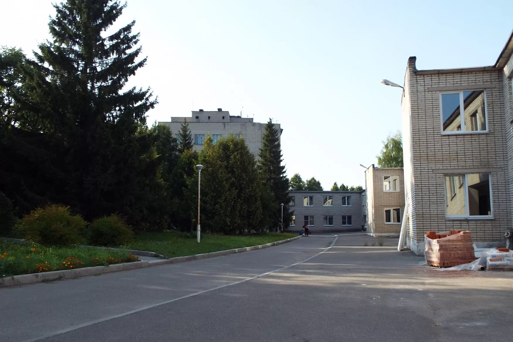 Тульская психиатрическая больница им каменева. Маслово психиатрическая больница Тула. Петелино Тула психиатрическая больница. Больница Петелино Тульская область.