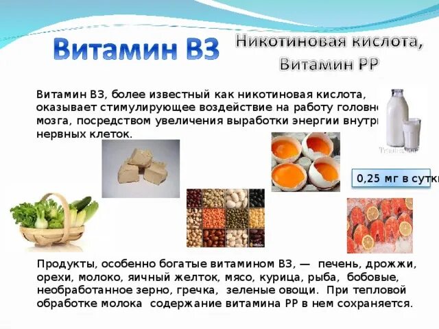 Вит в3. Источники витамина b3. Витамин б3 описание. Продукты с высоким содержанием витамина в3. Функции витамина витамина b3.