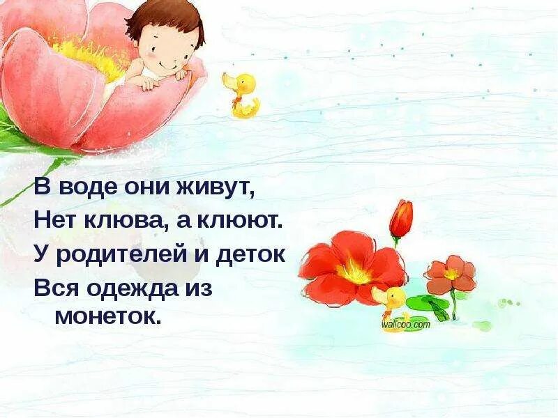 Загадка в воде живет нет клюва. У родителей и деток вся одежда из монеток отгадка. в воде живёт нет клюва а клюёт. отгадай загадку в воде они живут нет клюва а клюют. в воде они нет клюва а клюют.