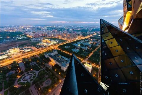 Виды со