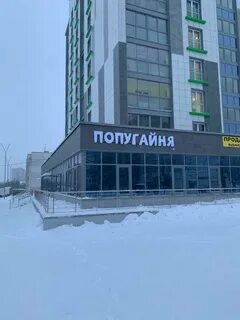 Попугайня просп стачек 39 отзывы