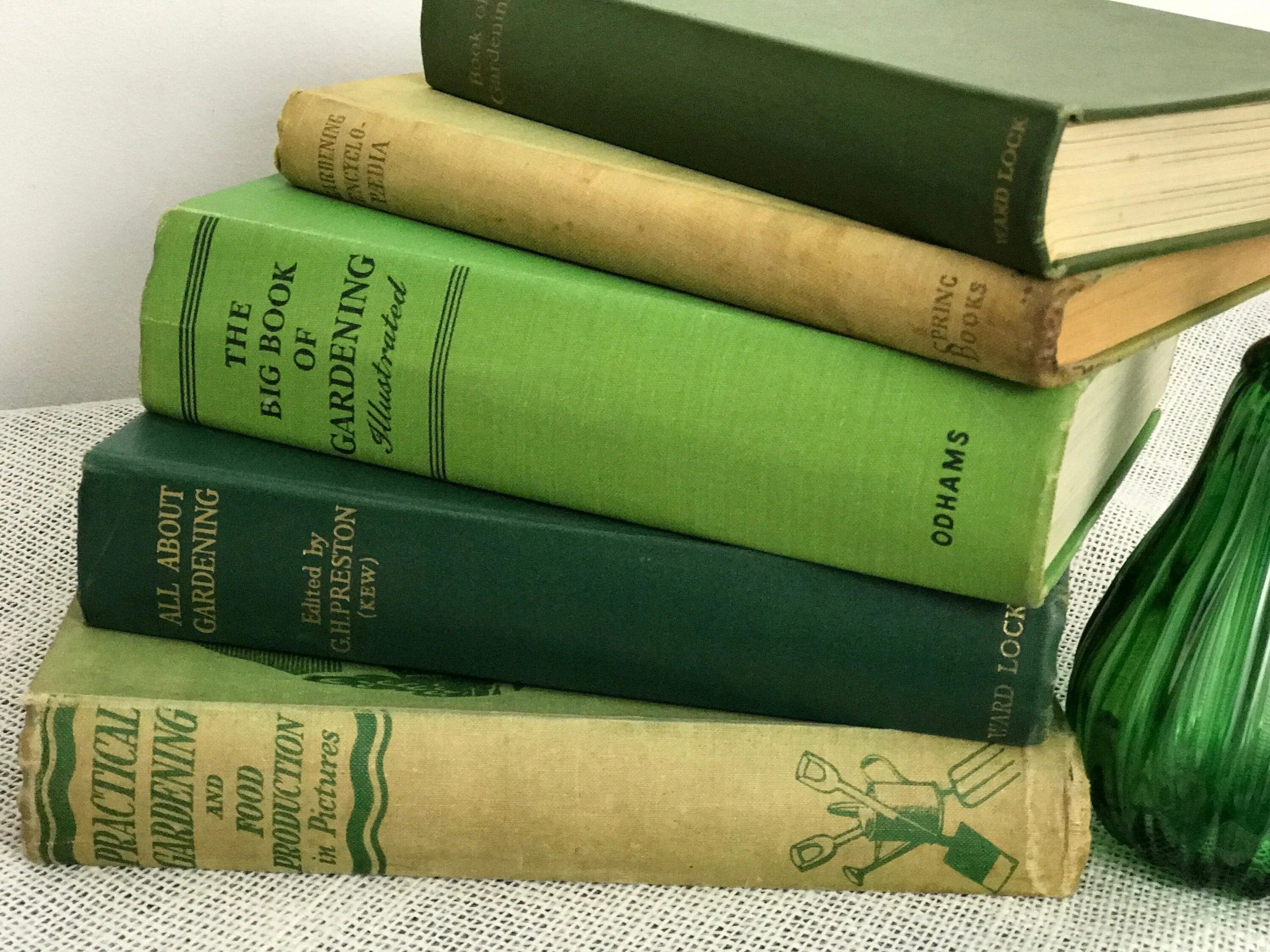 Зеленая книга книга. Зеленая книга книга автор. Используй книгу зеленые. Зеленая книжка переселенца. Книжка про зеленого человека.