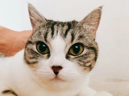 次 の ツ イ-ト に 進 む. 前 の ツ イ-ト に 戻 る. 