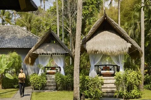 Melia bali