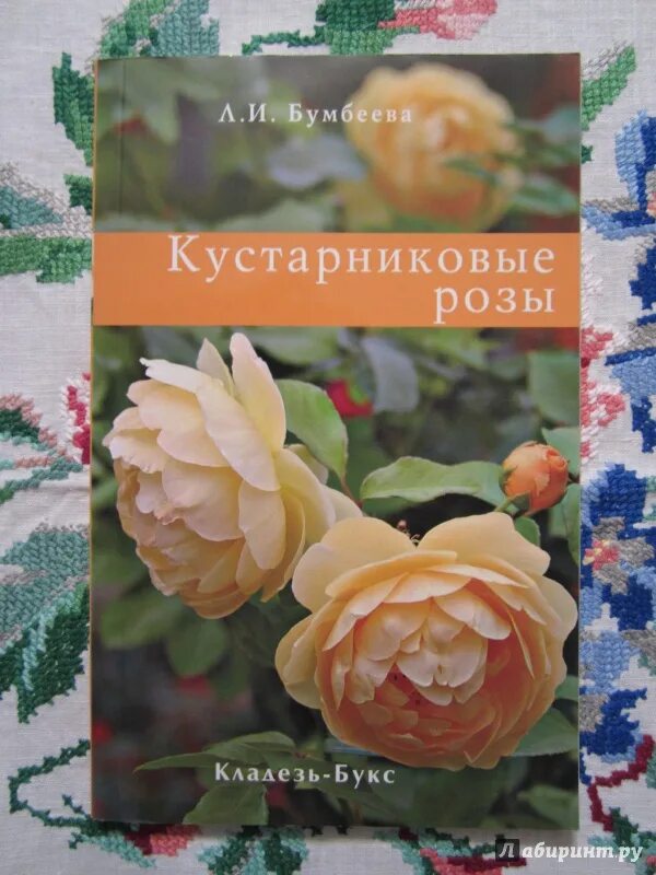 Любовь бумбеева розы. Садовая культура розы бумбеева. Бумбеева розы книга. Бумбеева розы книга. Бумбеева розы.
