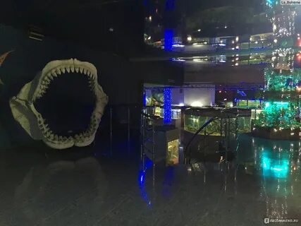 Уральская 98 11 краснодар океанариум