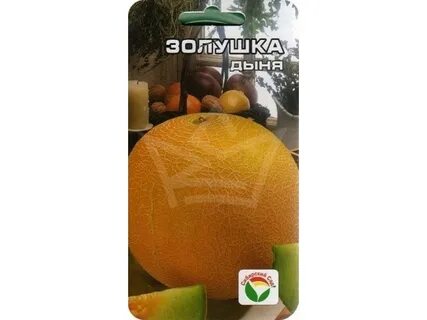 Дыня сережкина любовь