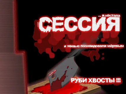 Студенческий хвост
