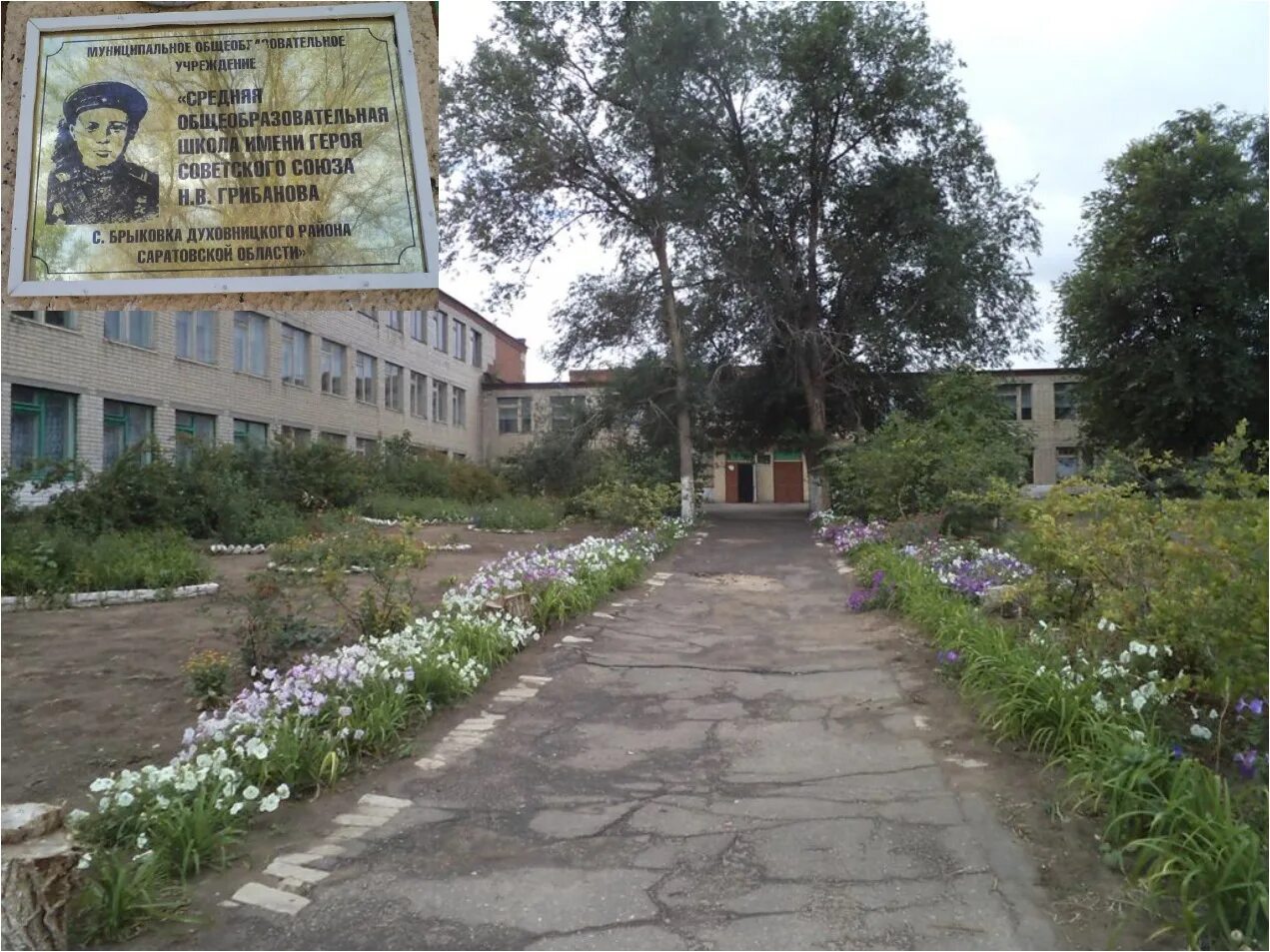 Саратовская область Духовницкий район село Брыковка. Село Брыковка Духовницкого района. Брыковка Духовницкий район Саратовская. Школа село Брыковка.