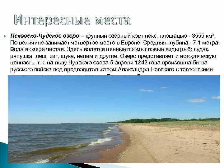 Чудское озеро частично относится к территории. Глубина Чудского озера. Чудское озеро глубина максимальная. Чудское озеро на карте. Чудское озеро в апреле.