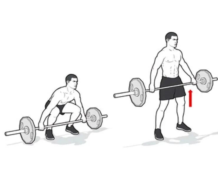 вес для кмс становая тяга. пауэрлифтинг становая тяга. таблица нормативов жима лежа штанги. Snatch grip deadlift. тяга 200 кг.