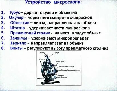 Какую функцию выполняет окуляр в микроскопе