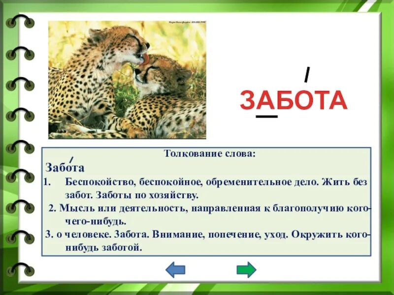 Синоним к слову заботиться. Предложение со словом забота. Предложение со словом заботливость. Предложение со словом заботиться. Предложение со словом заботливый.