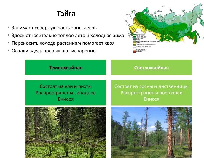 Климат широколиственных лесов таблица. Смешанные, широколиственно-хвойные леса таблица климат. Зона смешанных и широколиственно хвойных лесов климат. Смешанные широколиственные хвойные леса таблица.