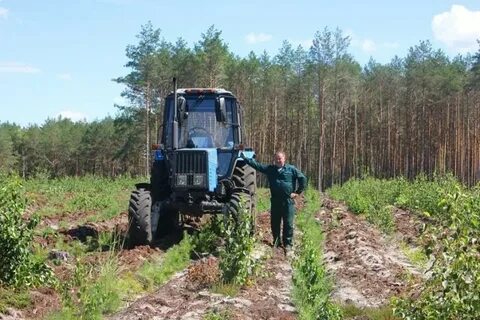 Агротехнический уход