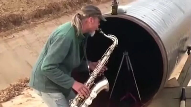 Pipelinefunk concert. Песня pipelinefunk concert. The kiffness южноафриканский музыкант. Pipelinefunk concert. Песня pipelinefunk concert.