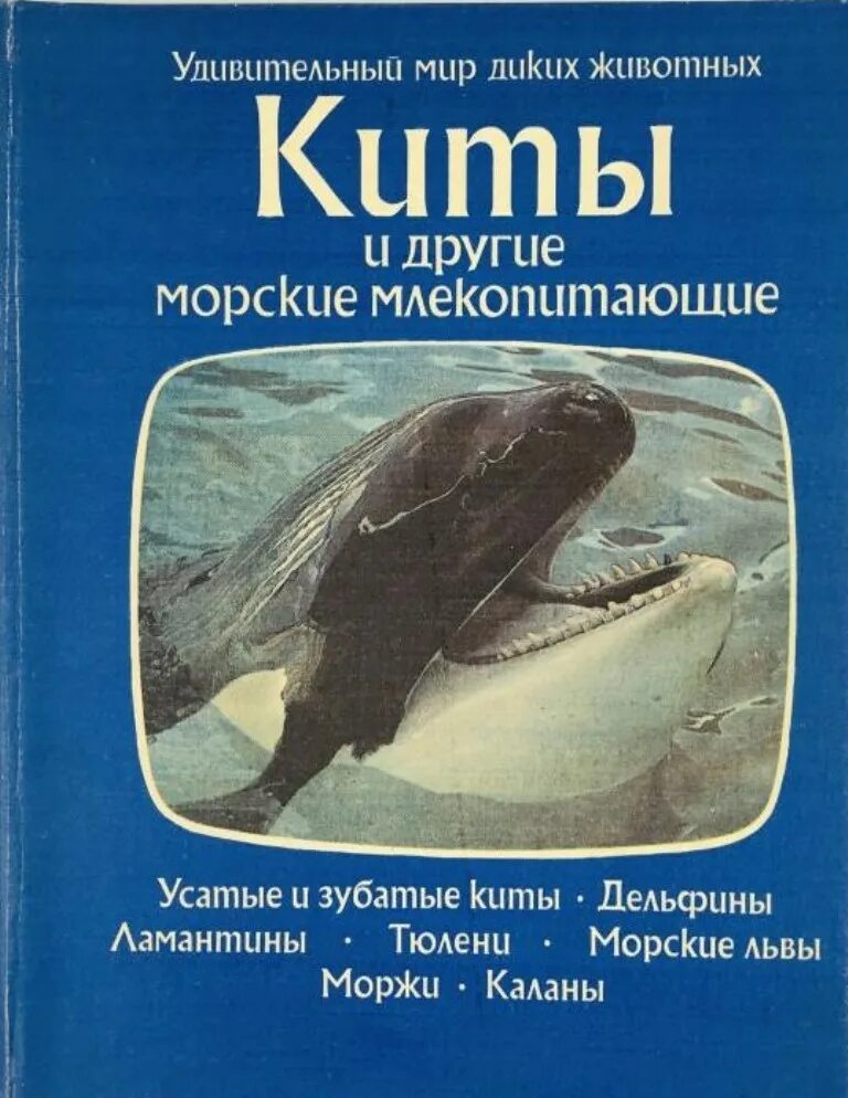 Книга про кита. Дозье киты и другие морские млекопитающие. 19 Февраля Всемирный день защиты морских млекопитающих день кита. Киты и другие морские млекопитающие книга.