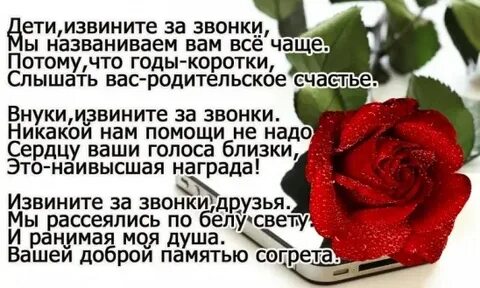 Извиниться за звонок