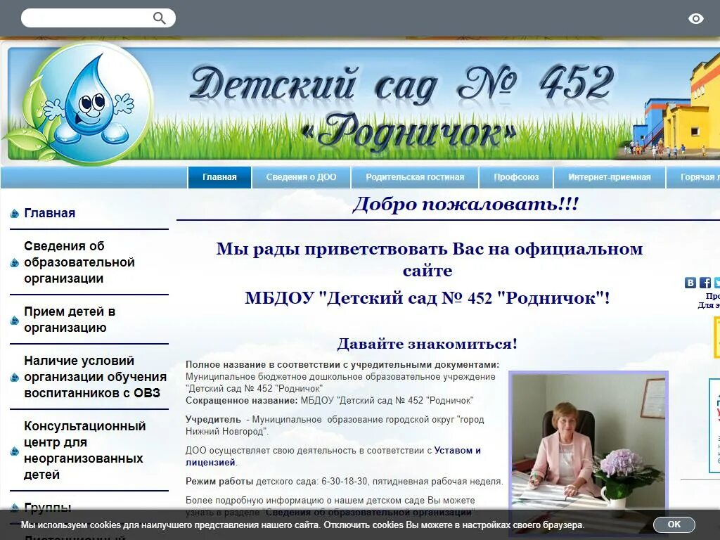 Центр родничок. Нижний Новгород Родничок. Садик Родничок Нижний Новгород 452. Программа Родничок авторы. Центр Родничок Великий Новгород.