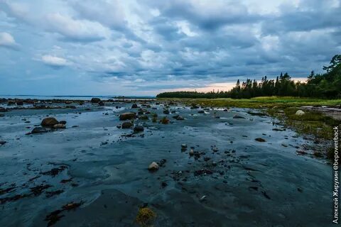 Белое море мурманская область