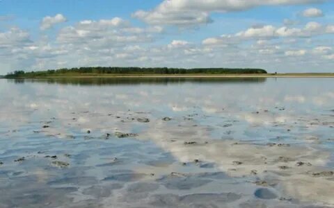 Погода курорт озеро медвежье