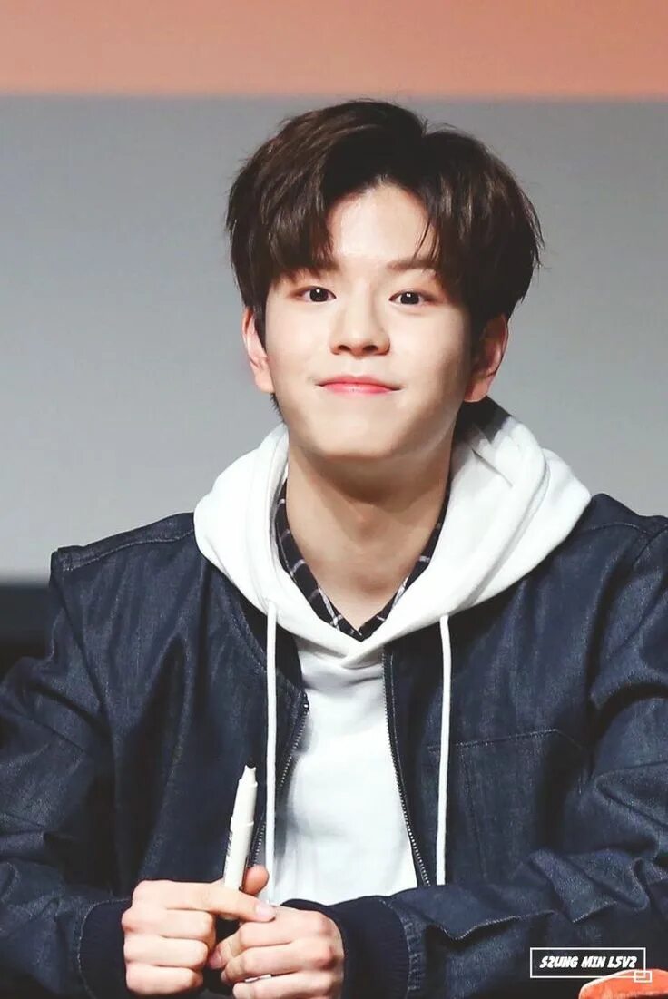Сынмин стрей. Stray kids сынмин. сын мин stray kids.