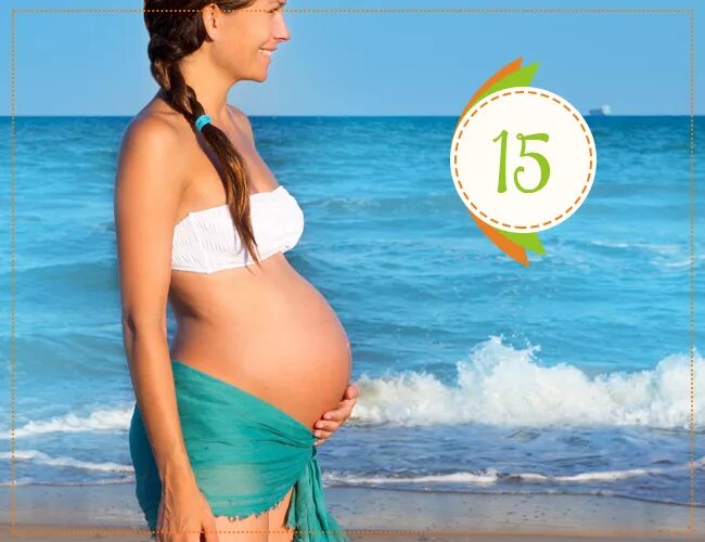 15 неделя отзывы. 15 Недель. 15 Недель беременности. Беременные женщины 15 недель.