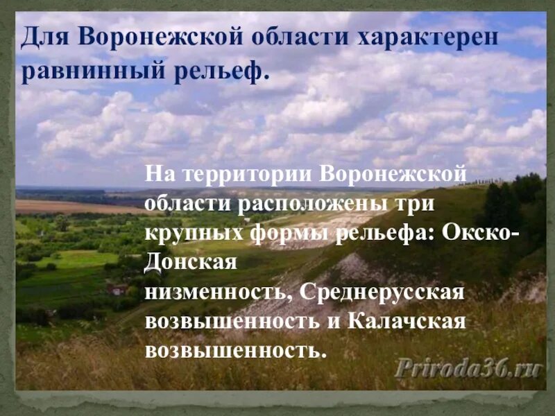 Особенности края и области. Окскадонская низменность. Рельеф Воронежской области. Рельеф Воронежской обл.. Основные сведения о поверхности Воронежского края.