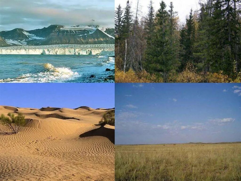 Поверхность природной зоны. Природные зоны природы. Самая красивая природная зона. Разнообразие природных зон в России. Природа в разных природных зонах.