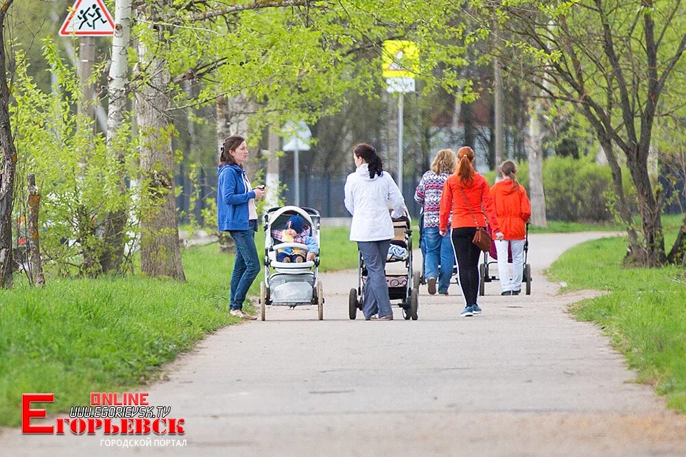 Парк 3 микрорайон Егорьевск. Парк для прогулок. Международный день прогулки по парку. Гулять в парке. Включи городской 3