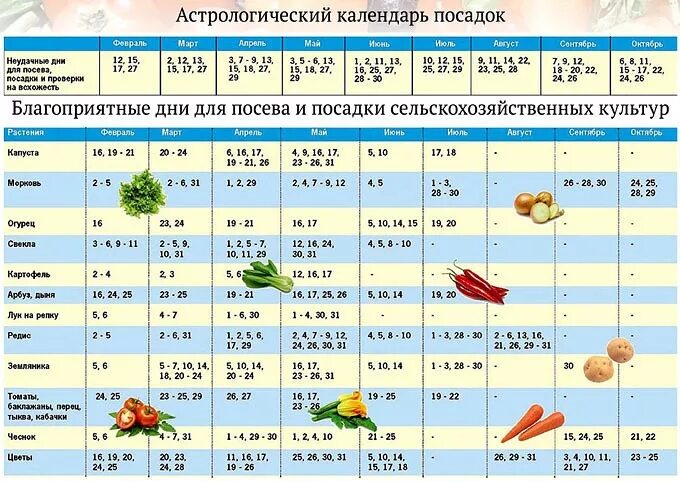 В какие дни сажать семена. Благоприятные дни для высадки томатов в грунт. Благоприятные дни для посадки рассады помидор. Лунный календарь на март посевной для рассады томатов 2021. В марте благоприятные дни для посадки томатов 2021 года.