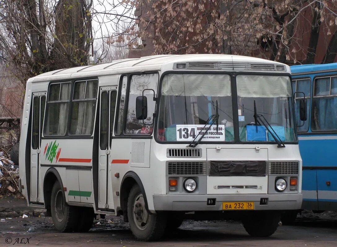 Левобережный автовокзал воронеж купить билет. Воронеж автостанция Левобережная. Автобусы Левобережная автостанция Воронеж. Автобус ПАЗ 32054 ва 833 36. ПАЗ 32054 Воронеж.