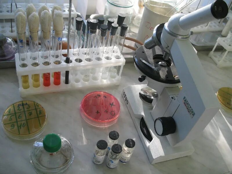 Лаборатории анализа воздуха. Лаборатория микробиологических исследований. Оборудование для лаборатории микробиологии. Бактериологические исследования оборудование. Микробиологические лабораторные исследования это.