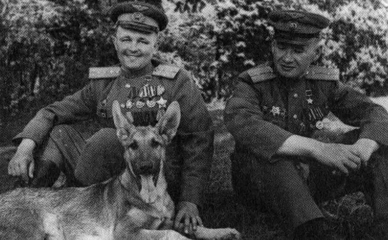 Собака Джульбарс на параде Победы 1945. Собаки герои ВОВ Джульбарс. Парад Победы 1945 год Джульбарс. Джульбарс на красной площади 1945. Пес парад