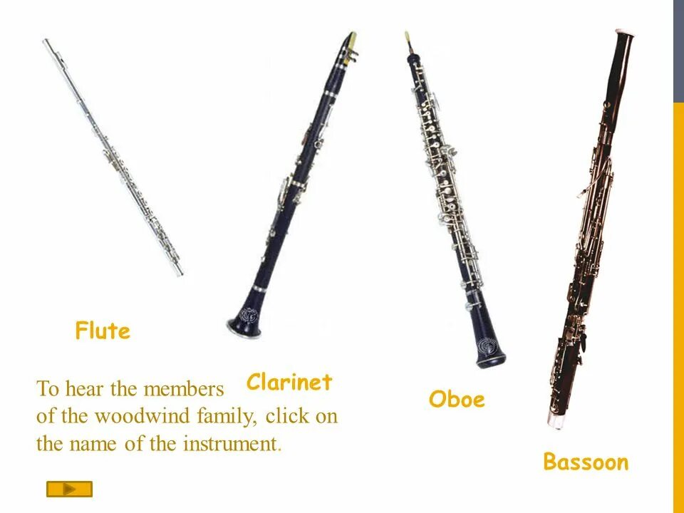 Кларнет и фагот. Флейта гобой кларнет Фагот. Кларнет, рекордер, гобой. Кларнет гобой Фагот валторна. Фагот деревянный духовой музыкальный инструмент.